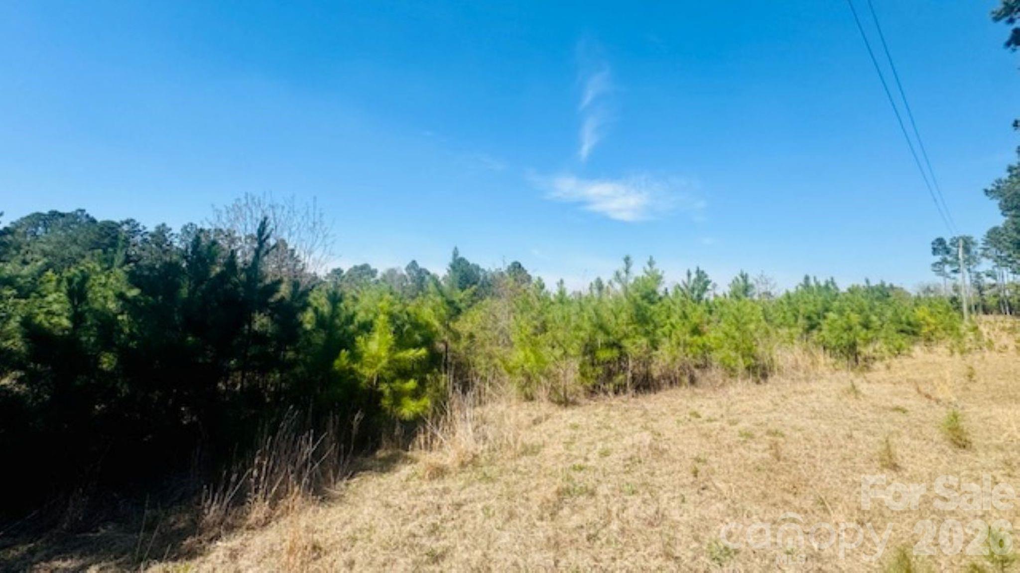 415 Hawkins Road Hartsville, SC 29550 - Photo 8 of 9 a view of a yard with trees in the background