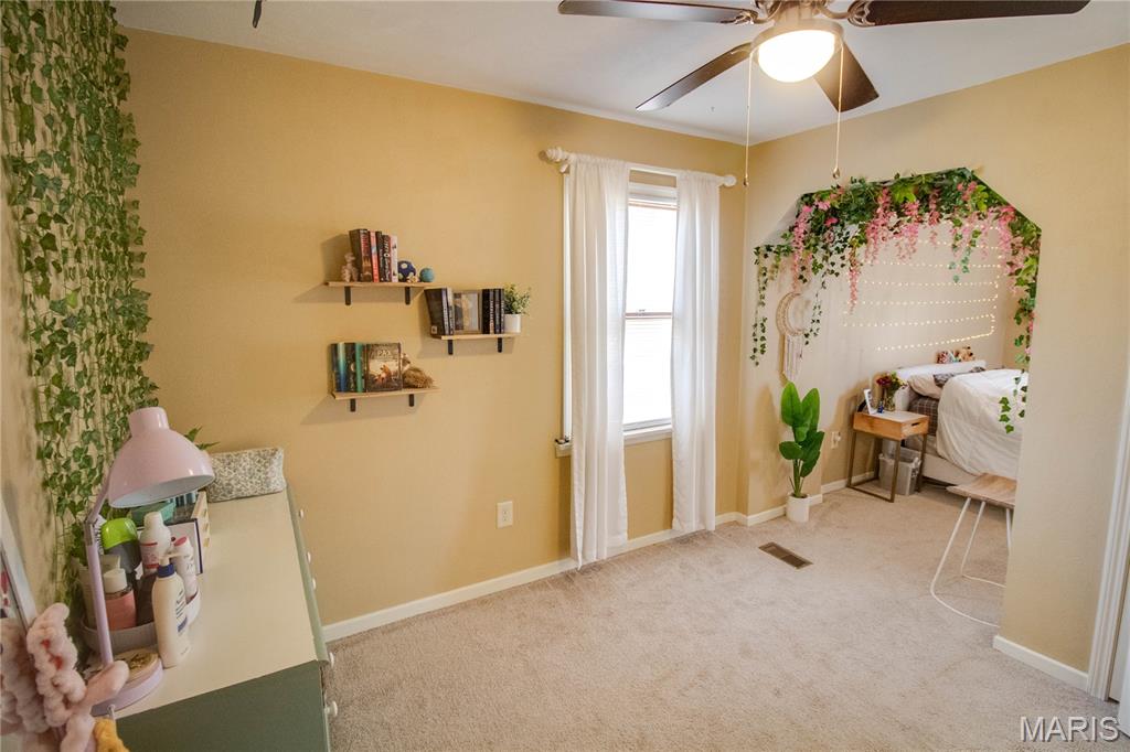 2019 Raintree Trail Collinsville, IL 62234 - Photo 45 of 67