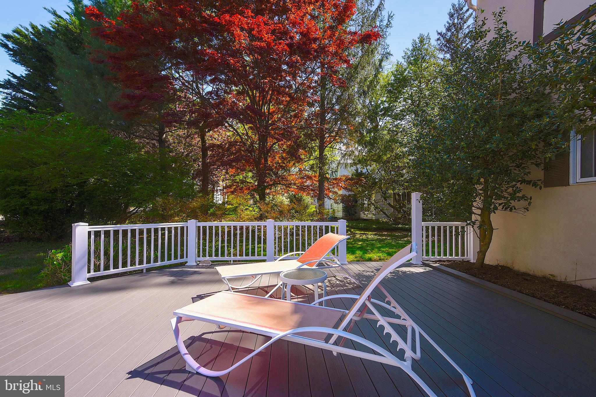 2208 South Road Baltimore, MD 21209 - Photo 48 of 55 Deck