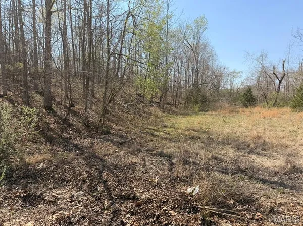 $87,500 | 0 Woodland Hill Road, Poplar Bluff, MO 63901
