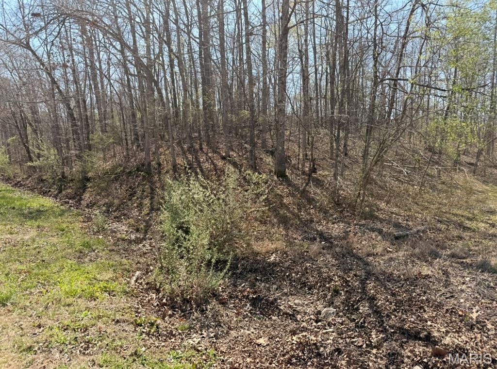 0 Woodland Hill Road Poplar Bluff, MO 63901 - Photo 2 of 3