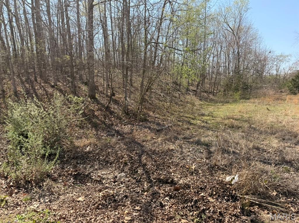 0 Woodland Hill Road Poplar Bluff, MO 63901 - Photo 3 of 3