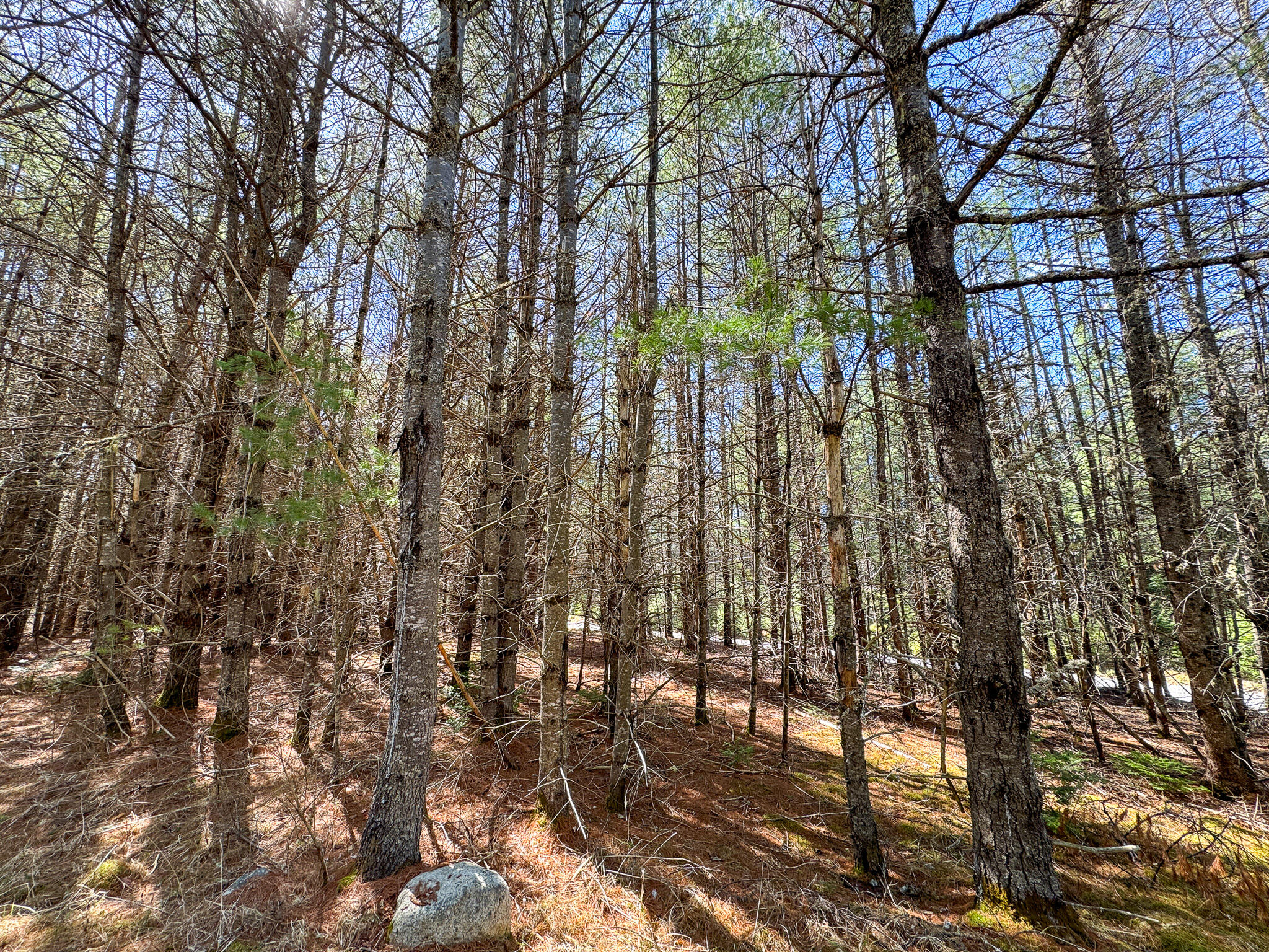 1060 Pattagumpus Road Medway, ME 04460 - Photo 13 of 21 13