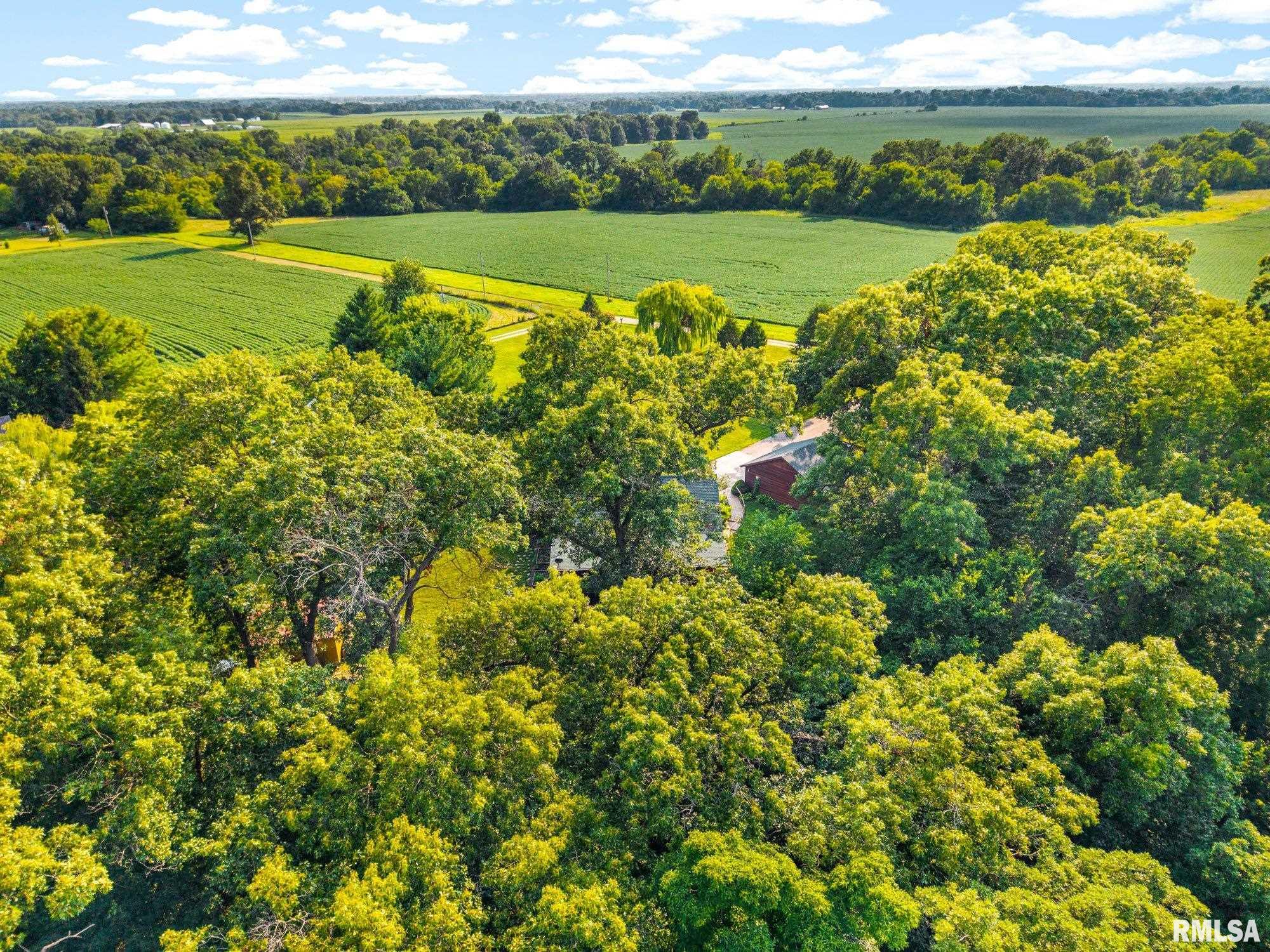 28829 North Bitner Road Glasford, IL 61533 - Photo 43 of 61 Gallery Image 43