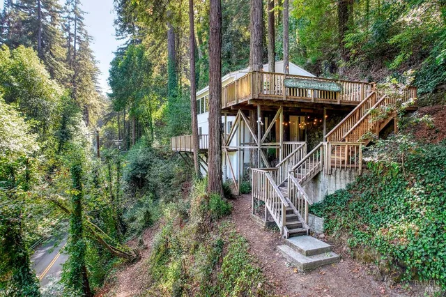 a view of a house with large trees and a small yard