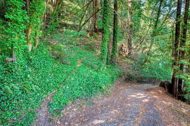 a backyard of a house with lots of green space and garden