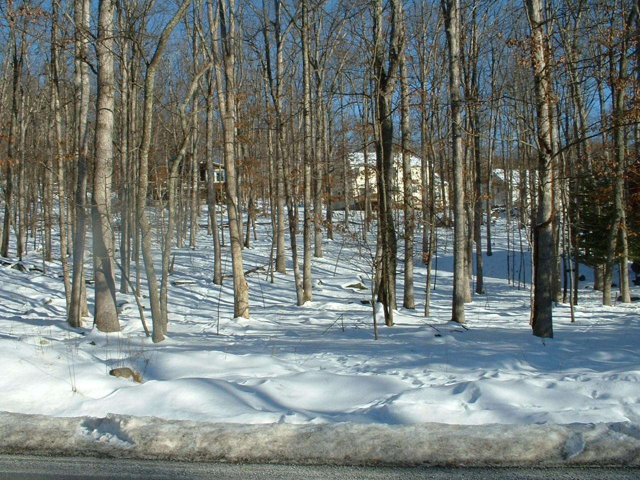 894 Decker Road Bushkill, PA 18324 - Photo 1 of 1 a view of outdoor space