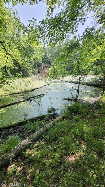 -curtis Rd Curtis Road Leonard, MI 48367 - Photo 3 of 11