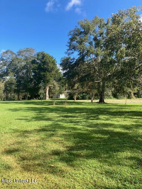 4519 4th Street Moss Point, MS 39563 - Photo 3 of 15 IMG_1125