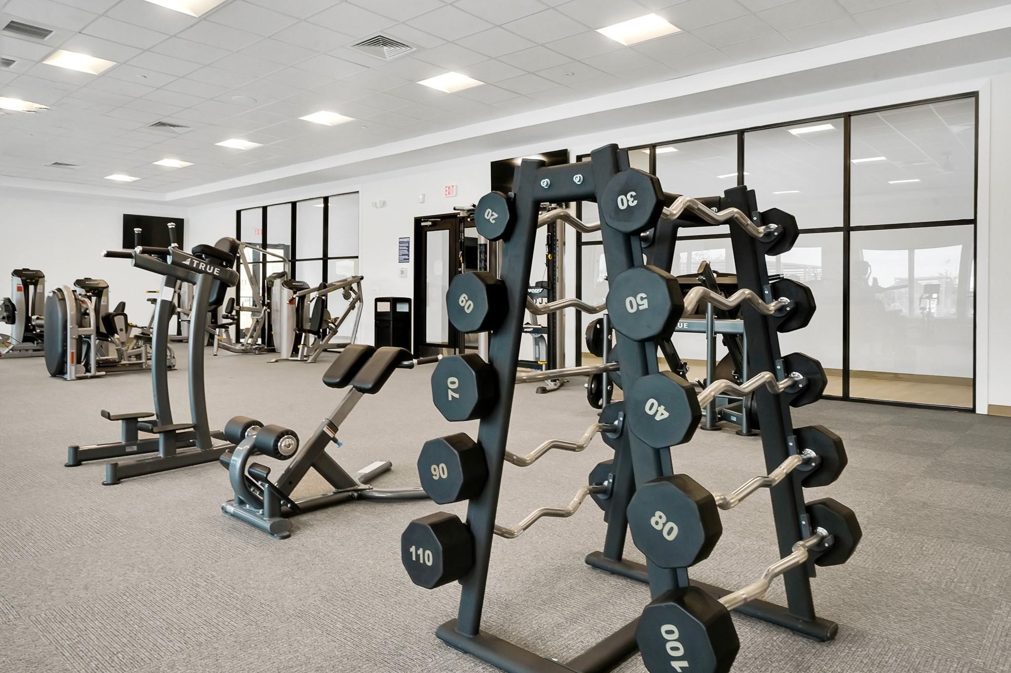 3534 Blue Mockingbird Street Katy, TX 77494 - Photo 31 of 39 Fitness centers