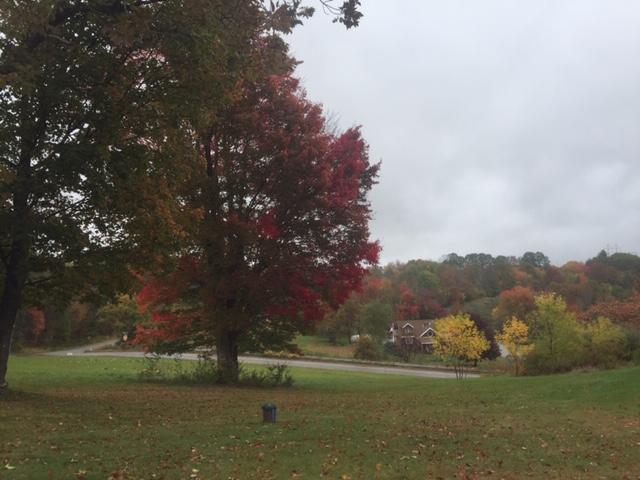 170 Ferry Road Lewiston, ME 04240 - Photo 24 of 24 IMG_8407