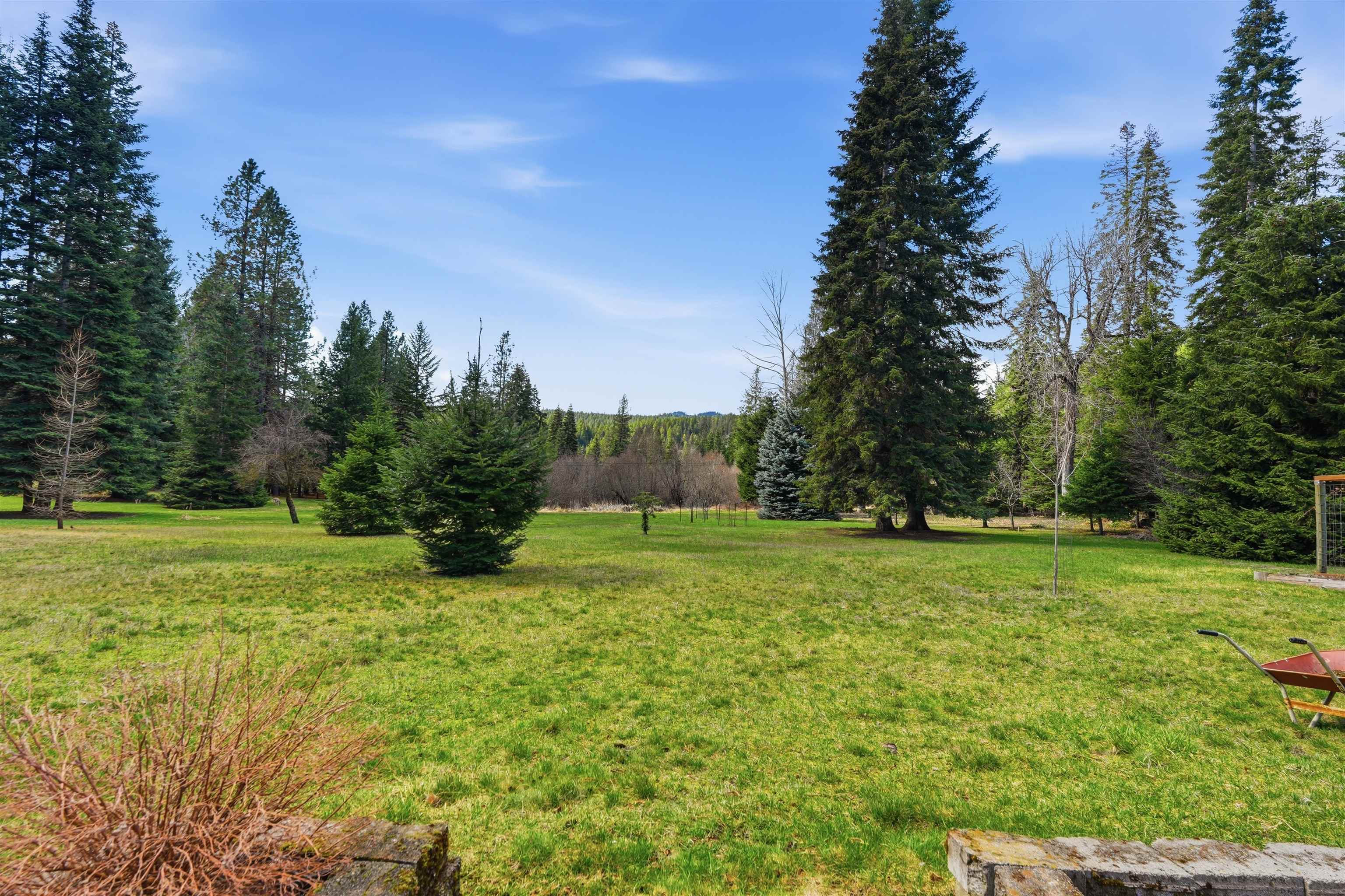 92 Fan Lake Road West Elk, WA 99009 - Photo 45 of 49