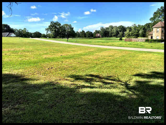 0 Deer Ridge Drive Wilmer, AL 36587 - Photo 10 of 17