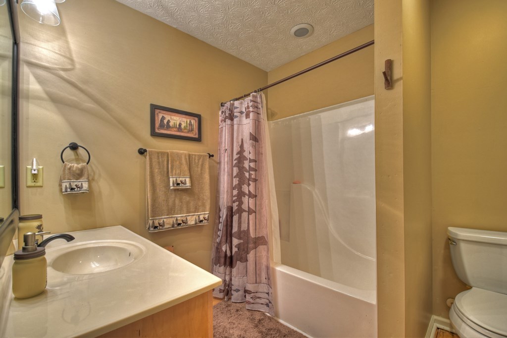 68 Ridge Crest Court Ellijay, GA 30540 - Photo 23 of 48 Gallery Image 23