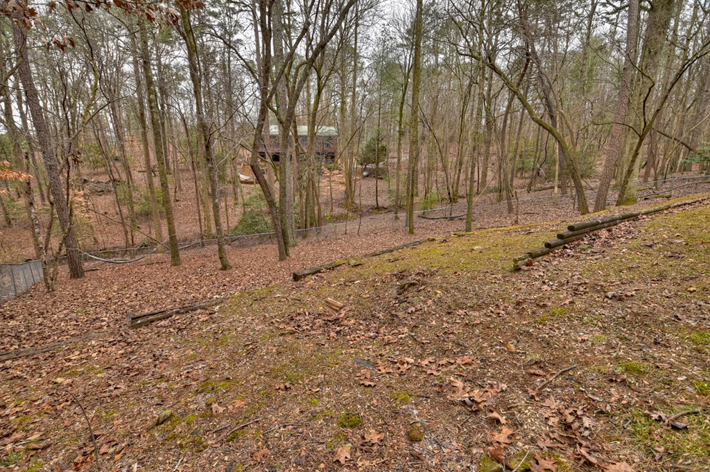 68 Ridge Crest Court Ellijay, GA 30540 - Photo 32 of 48 Gallery Image 32