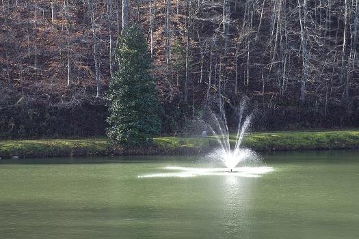 68 Ridge Crest Court Ellijay, GA 30540 - Photo 42 of 48 Fishing pond in Community