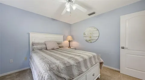 a view of a garden with trees