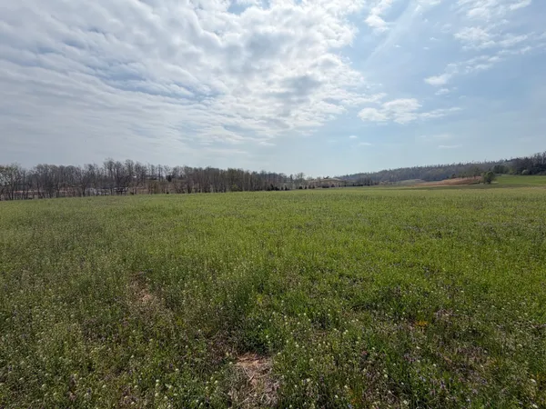 $69,900 | 0 State Route 176, Greenville, KY 42345