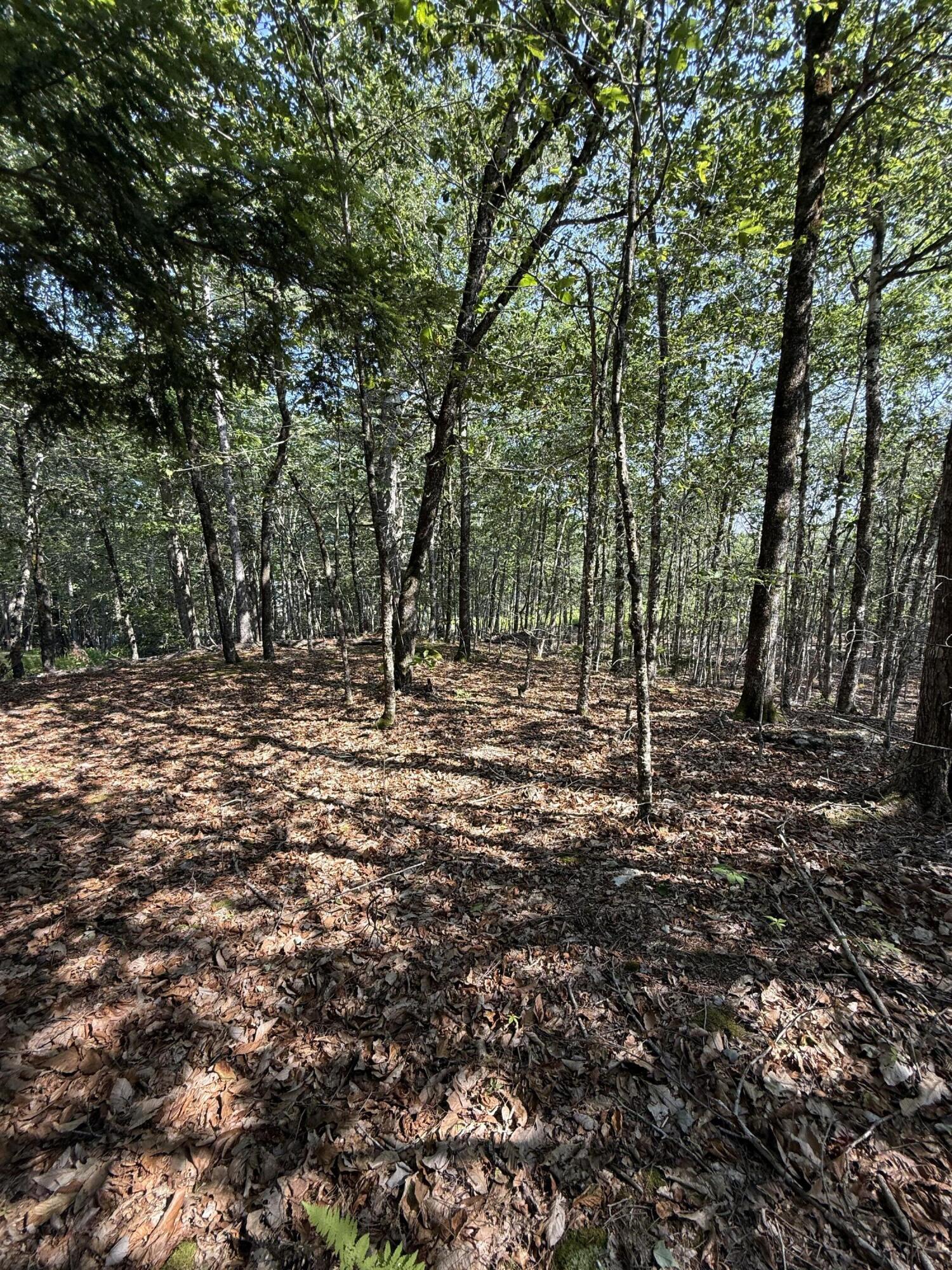 1026 Bucks Mills Road Bucksport, ME 04416 - Photo 11 of 18 IMG_2974