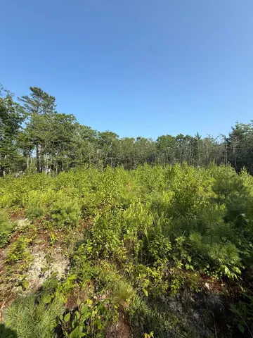 $95,000 | 1026 Bucks Mills Road, Bucksport, ME 04416