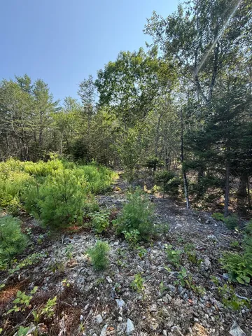 $95,000 | 1026 Bucks Mills Road, Bucksport, ME 04416