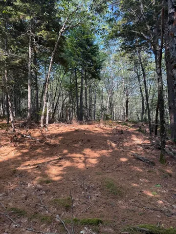 $95,000 | 1026 Bucks Mills Road, Bucksport, ME 04416