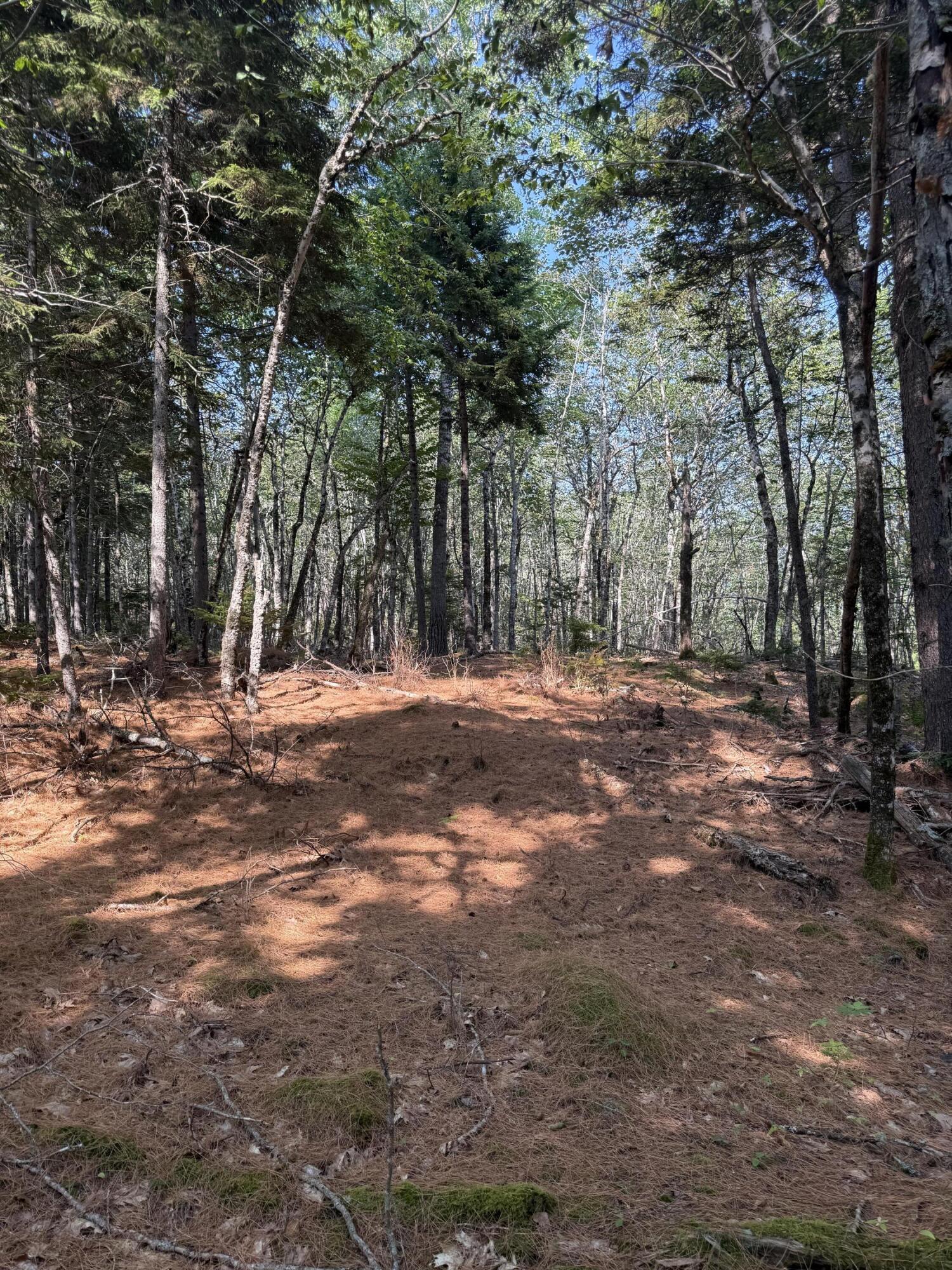 1026 Bucks Mills Road Bucksport, ME 04416 - Photo 15 of 18 IMG_2981