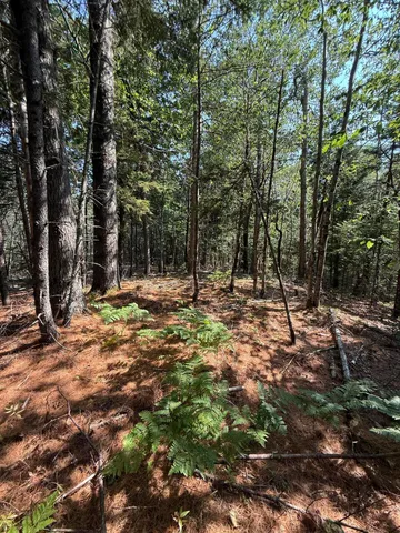 $95,000 | 1026 Bucks Mills Road, Bucksport, ME 04416