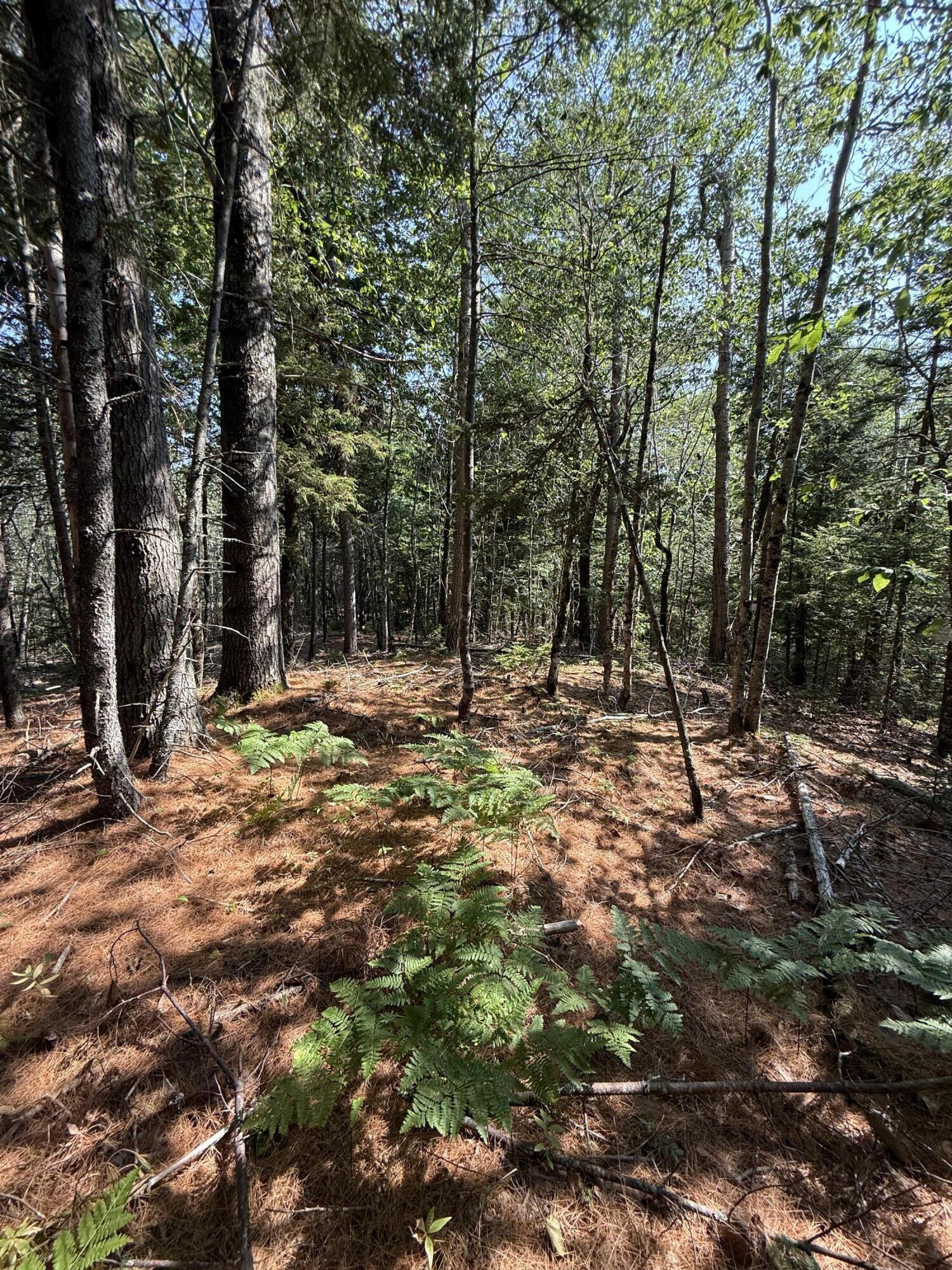 1026 Bucks Mills Road Bucksport, ME 04416 - Photo 16 of 18 IMG_2977