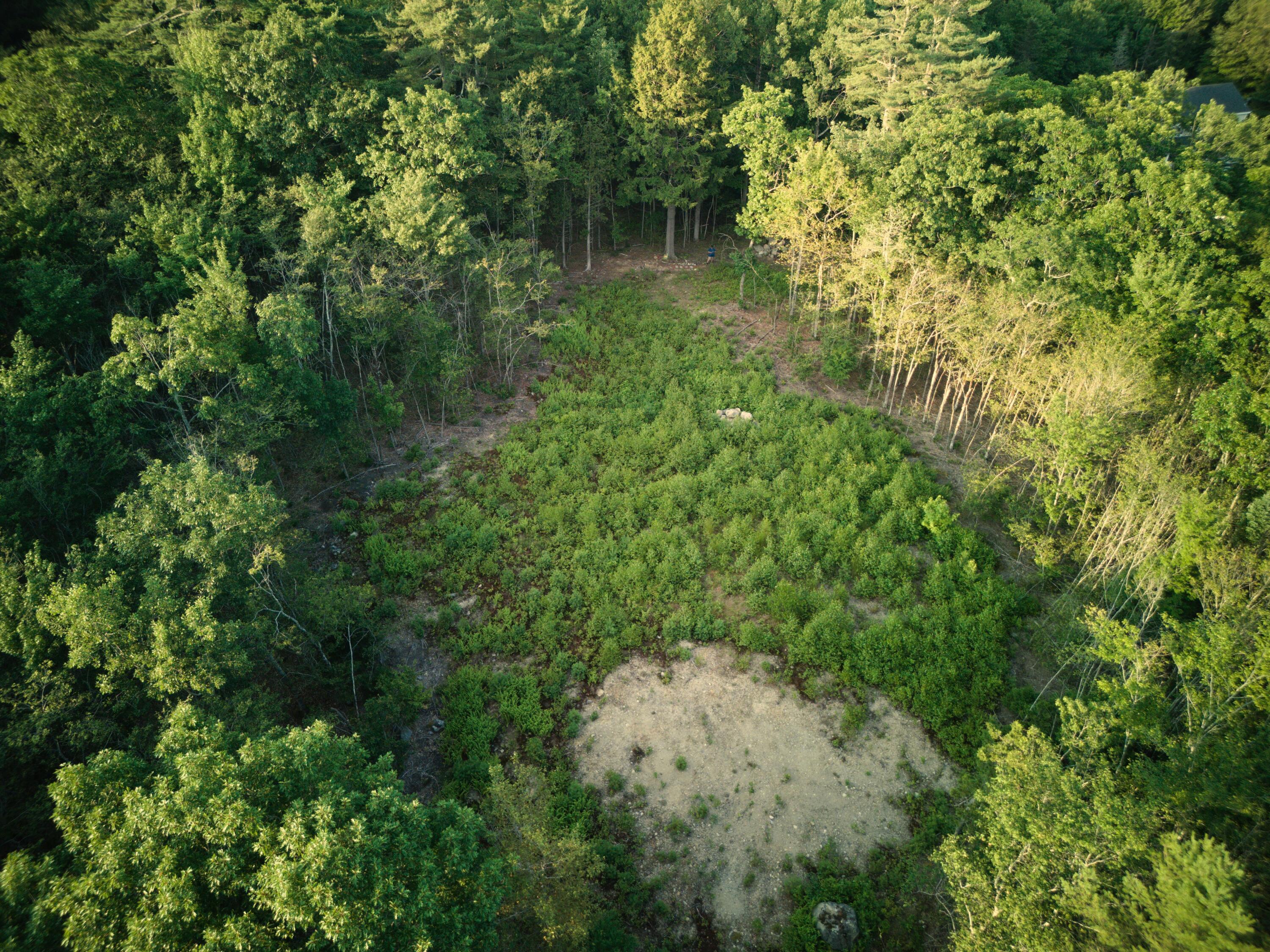 1026 Bucks Mills Road Bucksport, ME 04416 - Photo 3 of 18 DJI_0317