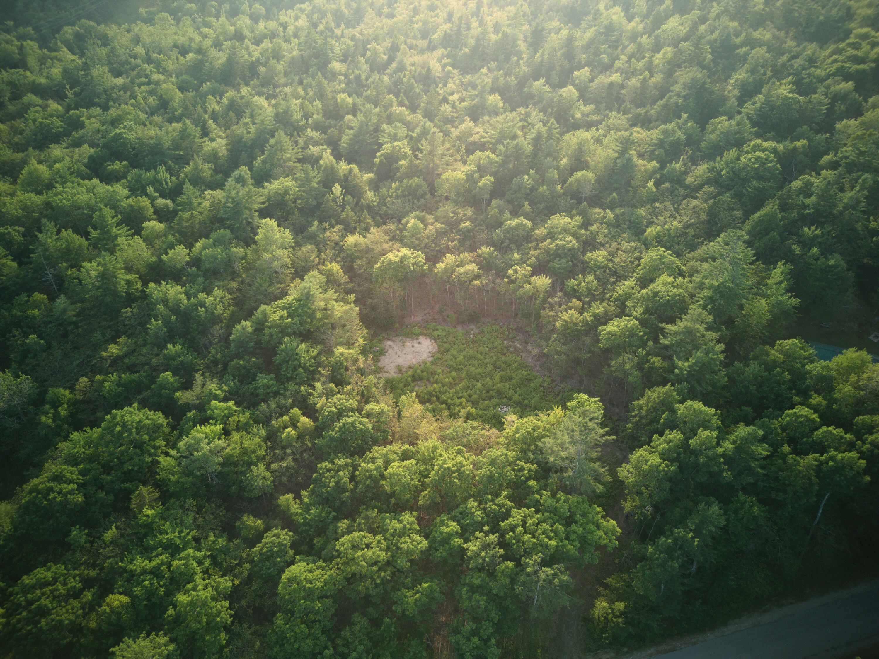 1026 Bucks Mills Road Bucksport, ME 04416 - Photo 4 of 18 DJI_0313
