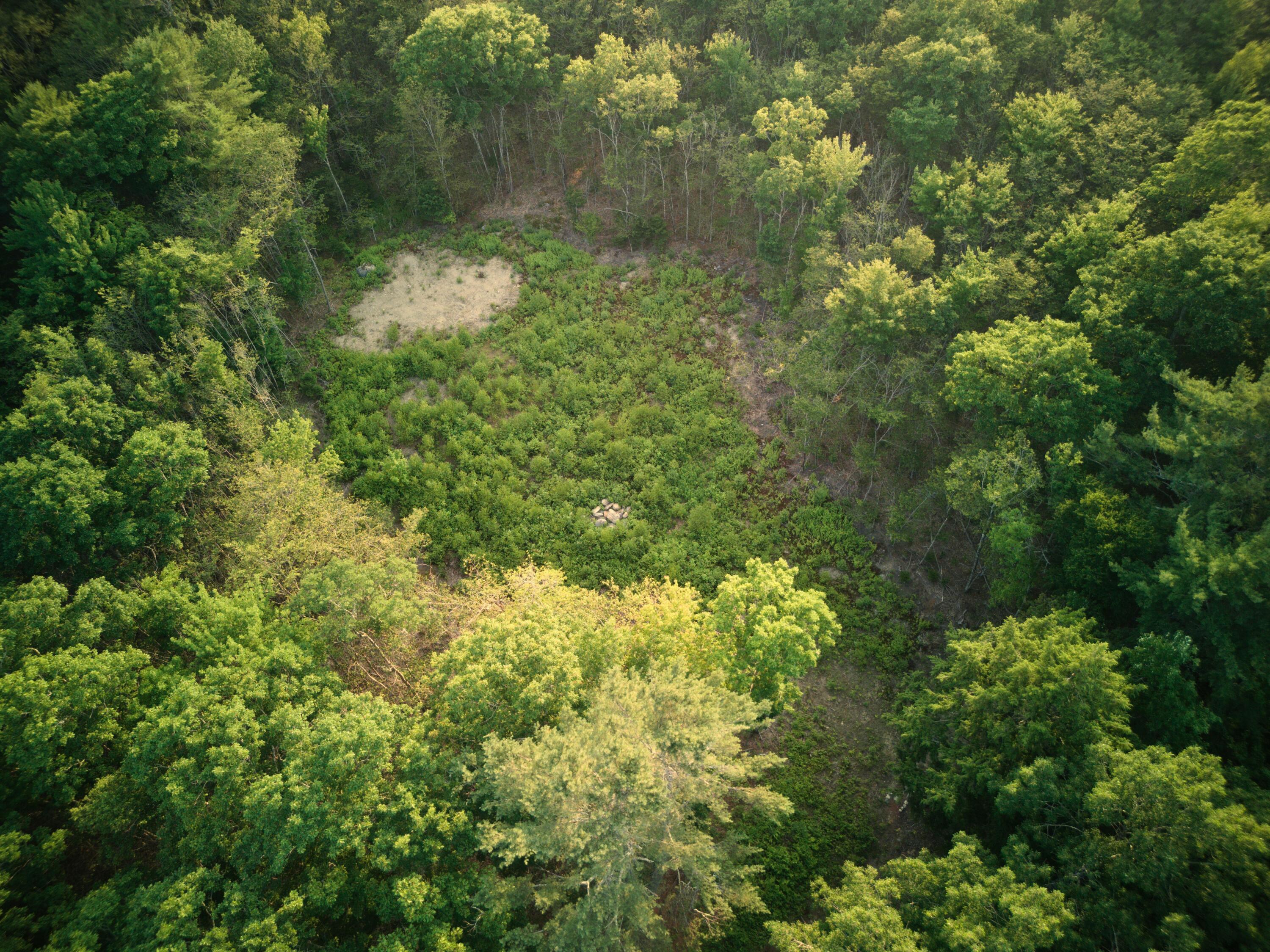 1026 Bucks Mills Road Bucksport, ME 04416 - Photo 5 of 18 DJI_0322