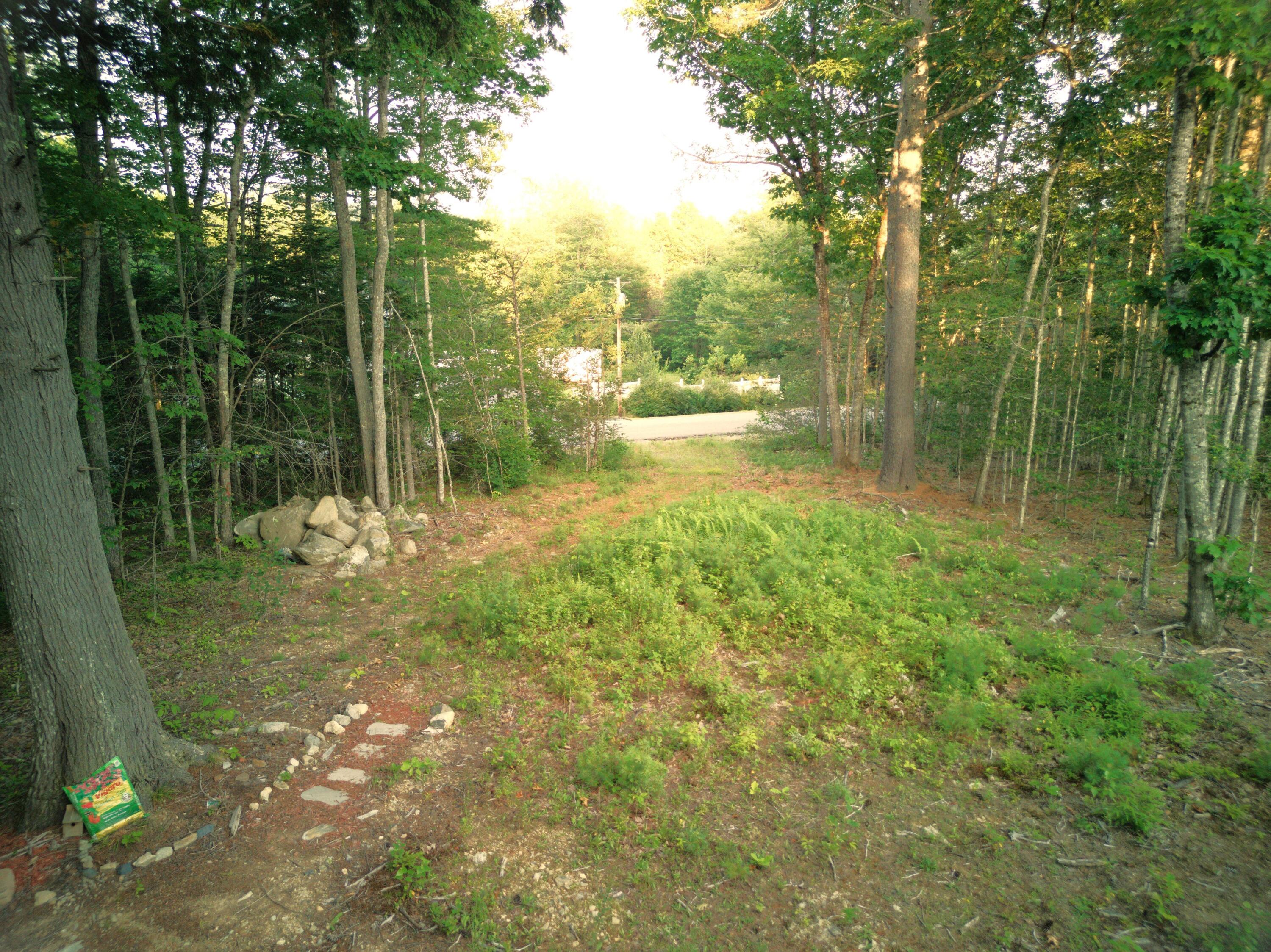 1026 Bucks Mills Road Bucksport, ME 04416 - Photo 7 of 18 DJI_0329