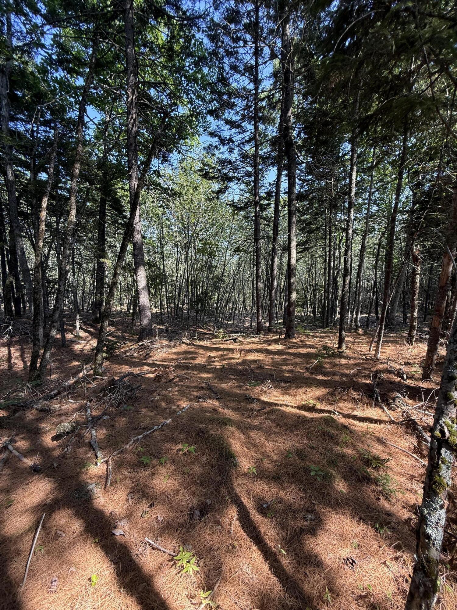 1026 Bucks Mills Road Bucksport, ME 04416 - Photo 9 of 18 IMG_2978