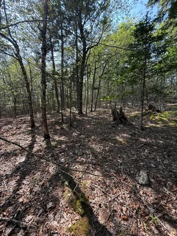 $95,000 | 1026 Bucks Mills Road, Bucksport, ME 04416