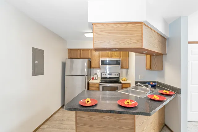 $164,000 | 1337 East Wyndham Circle, Unit 208, Palatine, IL 60074