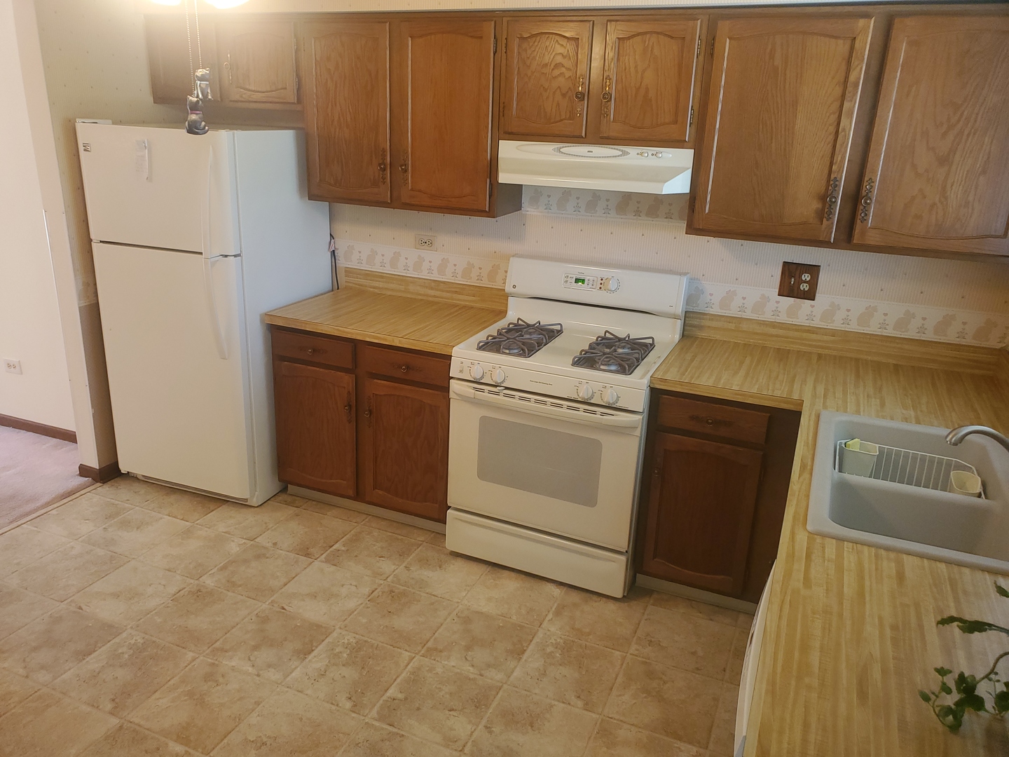 5159 North East River Road, Unit 307D Chicago, IL 60656 - Photo 9 of 29 Gallery Image 9