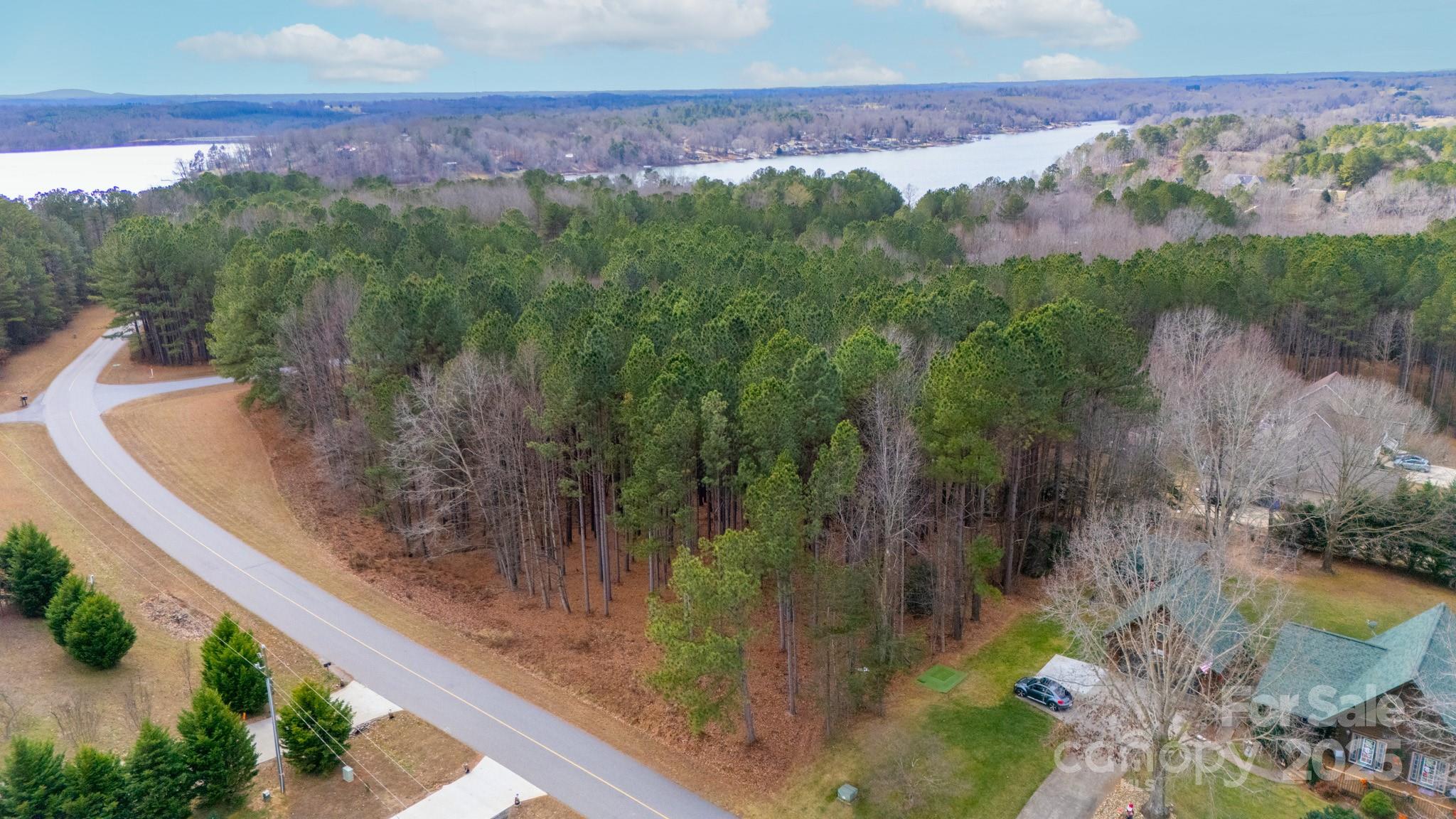 340 Gardner Point Drive Stony Point, NC 28678 - Photo 13 of 19 a view of a lake with a mountain in the background