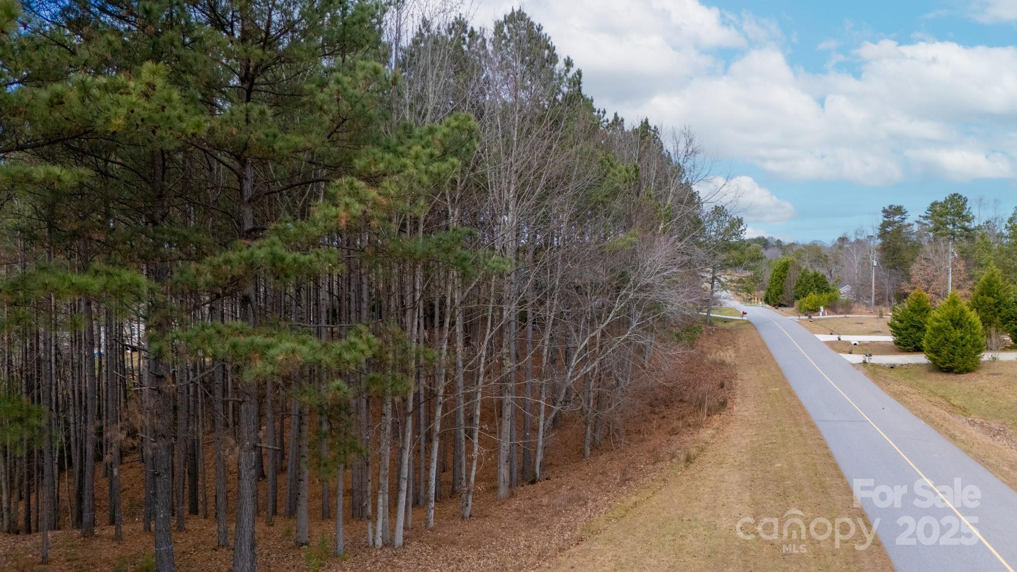 340 Gardner Point Drive Stony Point, NC 28678 - Photo 3 of 19 a view of a pathway of a garden