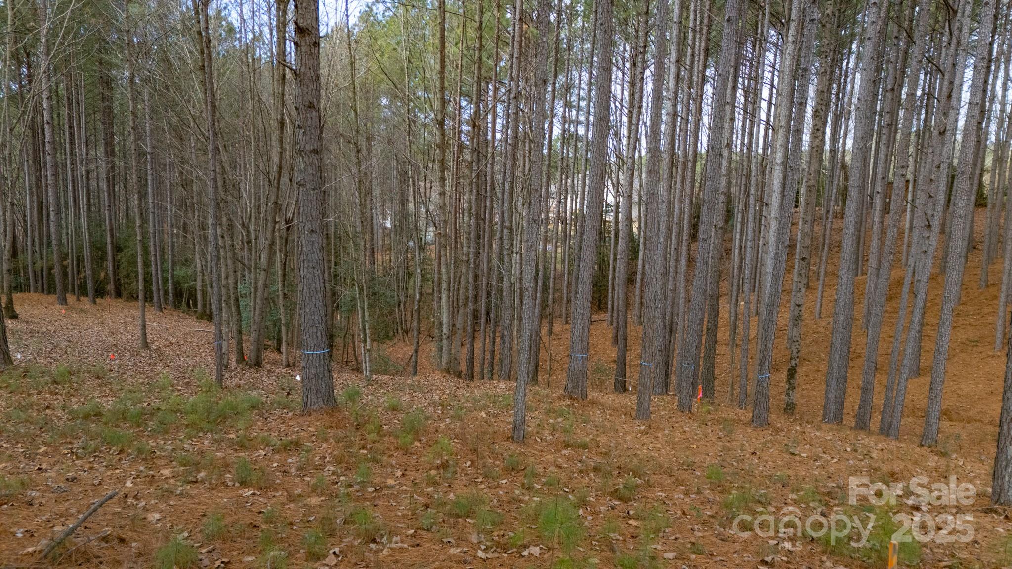 340 Gardner Point Drive Stony Point, NC 28678 - Photo 5 of 19 a view of wooden fence