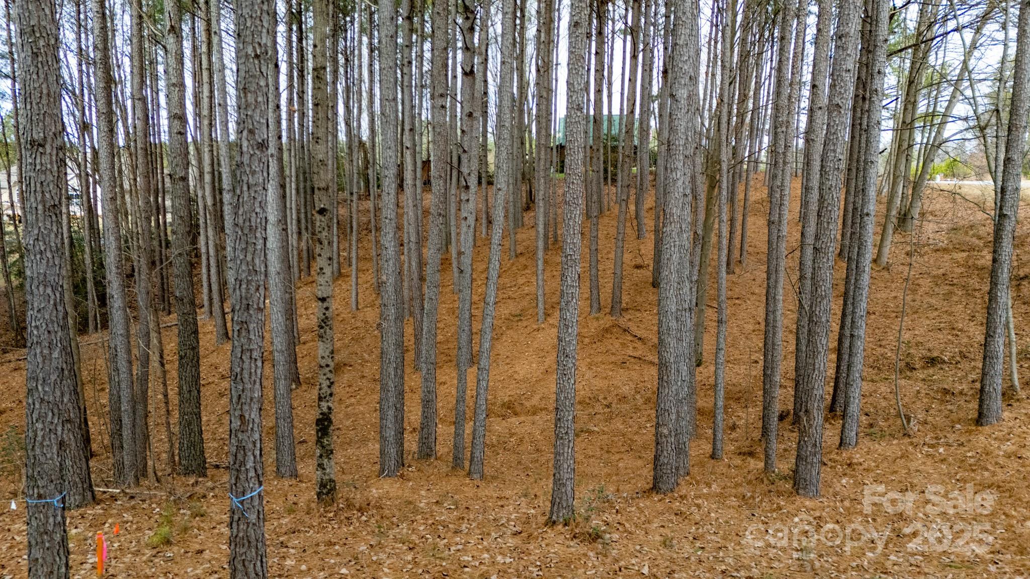 340 Gardner Point Drive Stony Point, NC 28678 - Photo 6 of 19 a view of a wooden fence