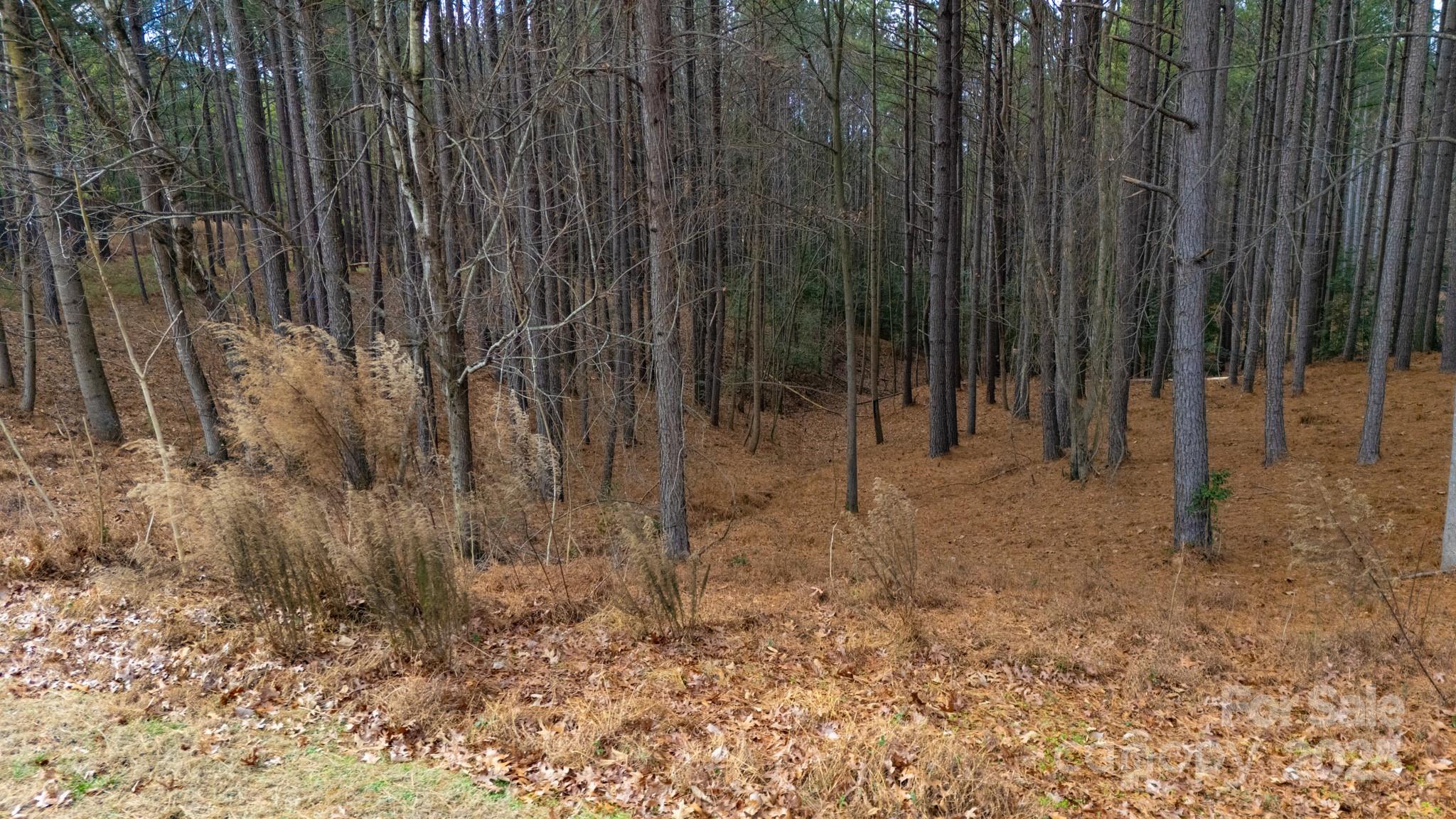 340 Gardner Point Drive Stony Point, NC 28678 - Photo 7 of 19 a view of a backyard