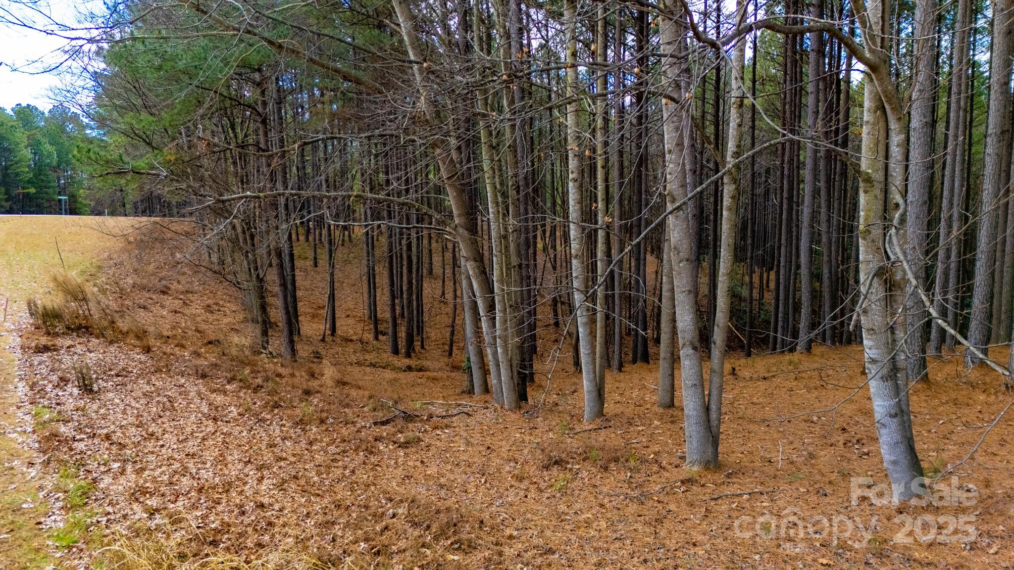 340 Gardner Point Drive Stony Point, NC 28678 - Photo 8 of 19 a view of a backyard