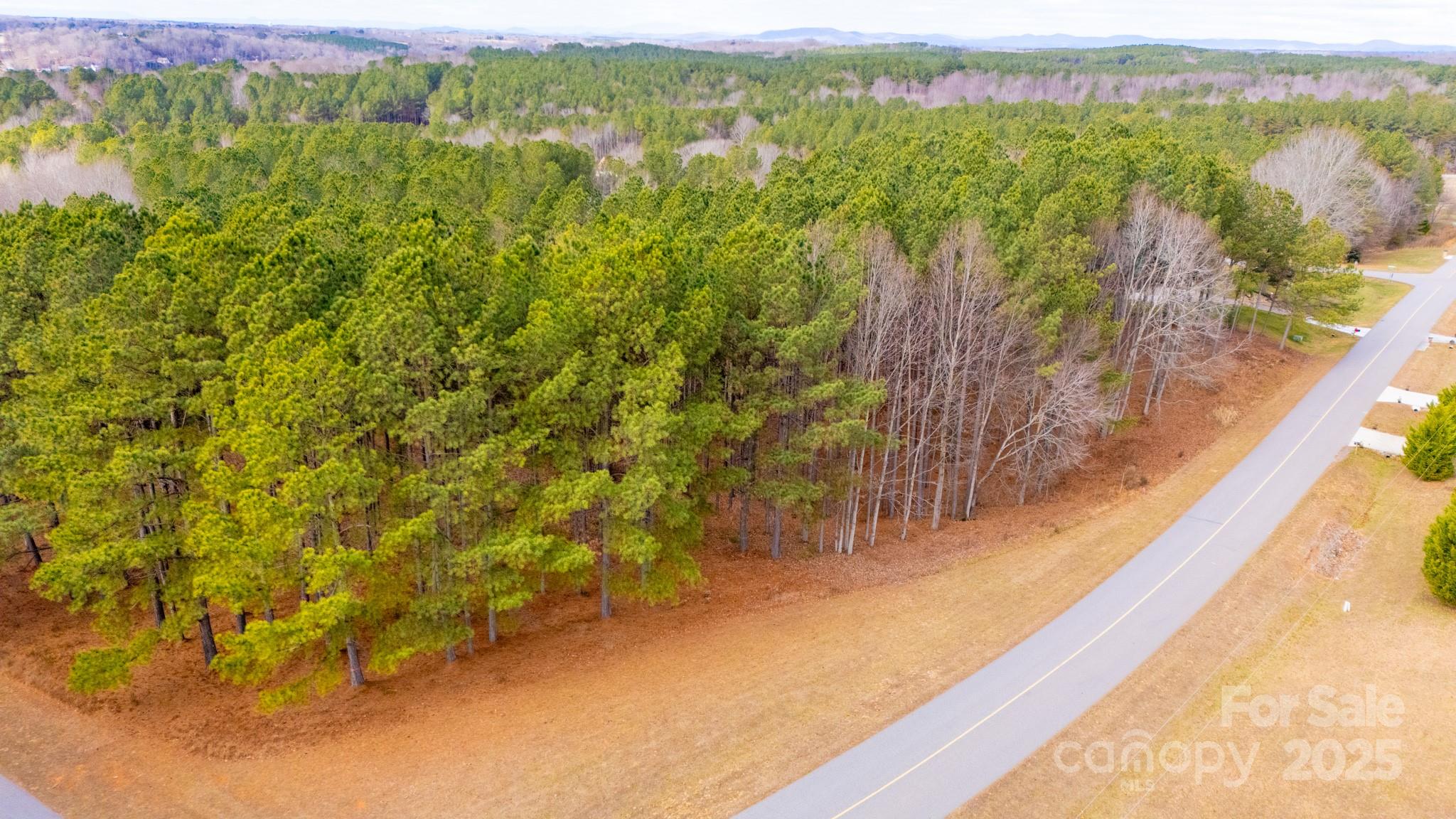 340 Gardner Point Drive Stony Point, NC 28678 - Photo 9 of 19 a view of a lake with a mountain in the background