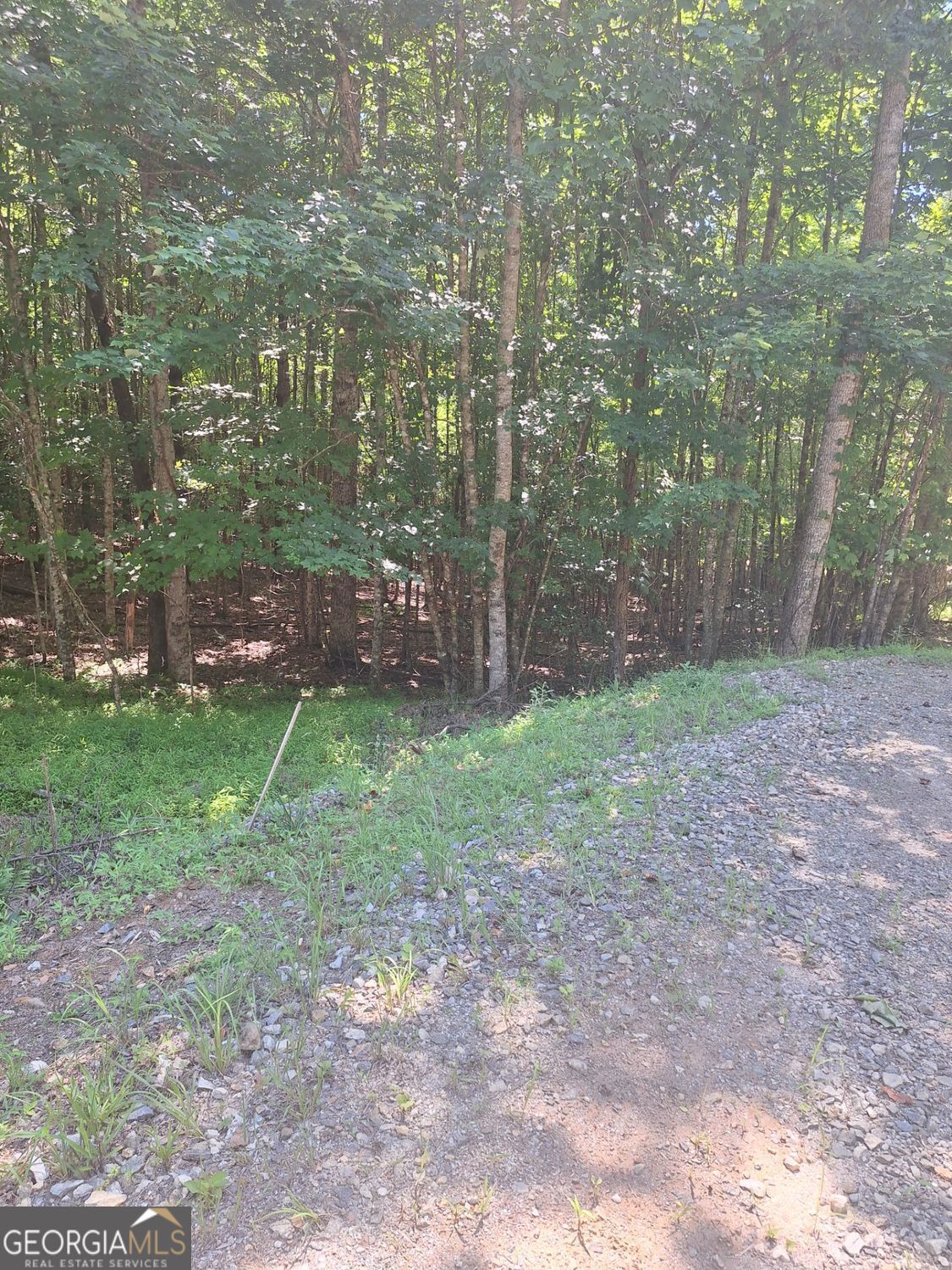 0 Judah Road Morganton, GA 30560 - Photo 5 of 8