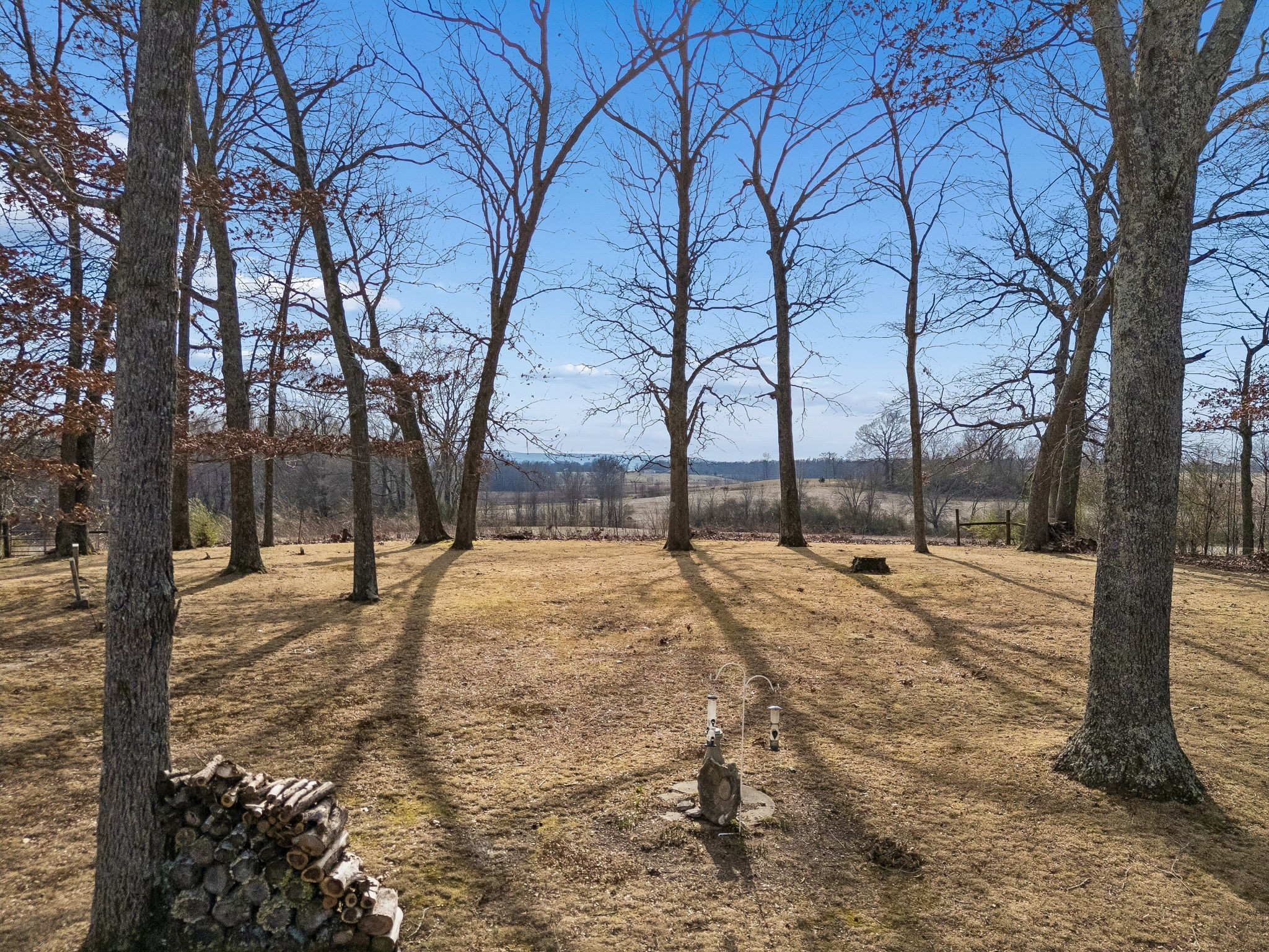 524 Willie Jarvis Road Sparta, TN 38583 - Photo 3 of 64 a view of empty space with trees