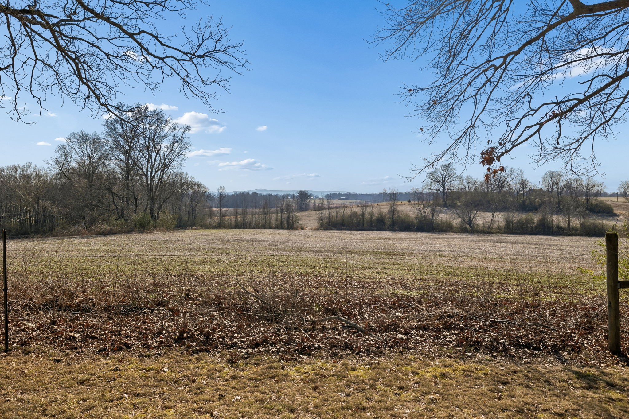 524 Willie Jarvis Road Sparta, TN 38583 - Photo 4 of 64 a view of a yard