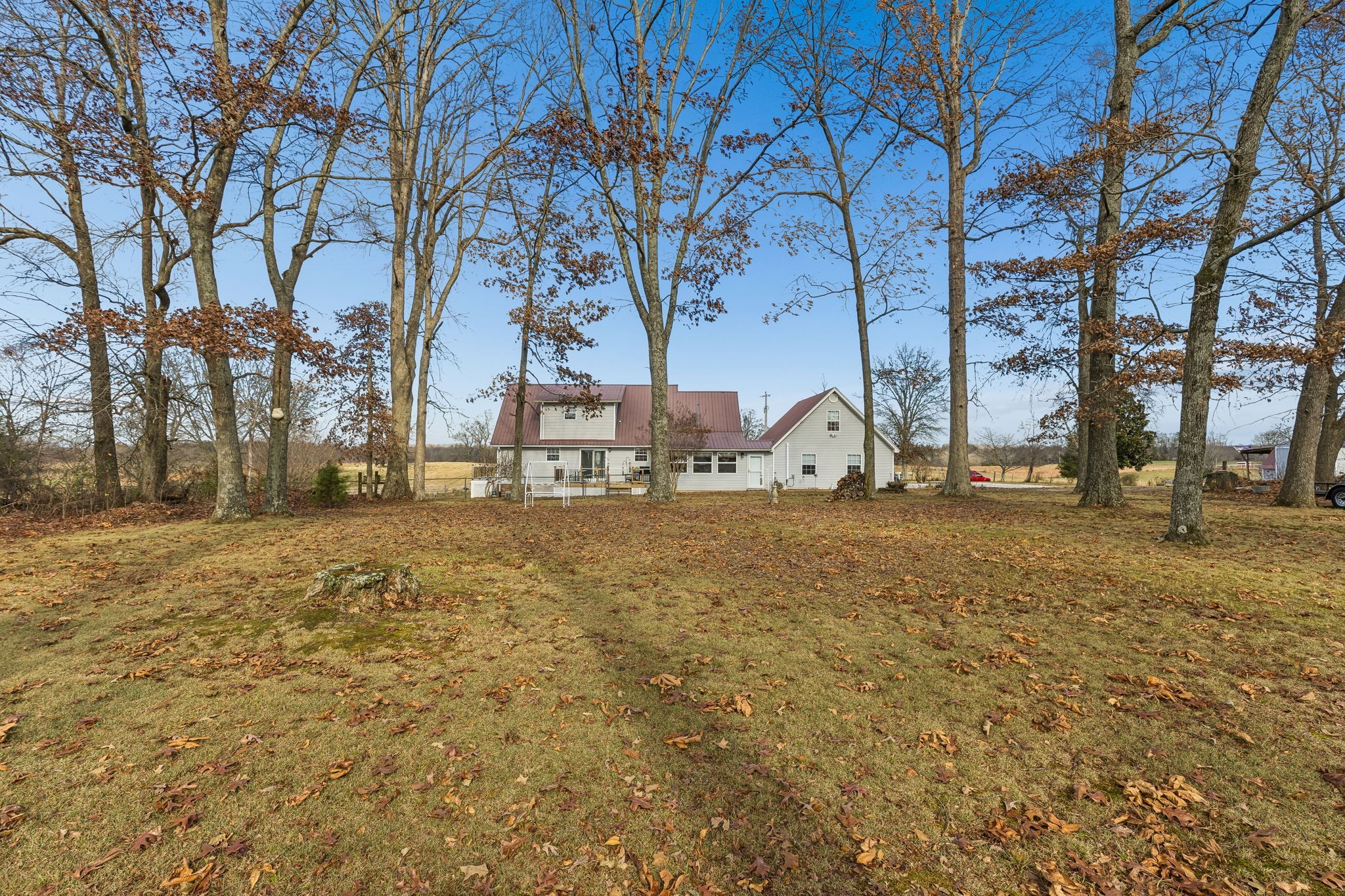 524 Willie Jarvis Road Sparta, TN 38583 - Photo 43 of 64 a view of yard with tree in front