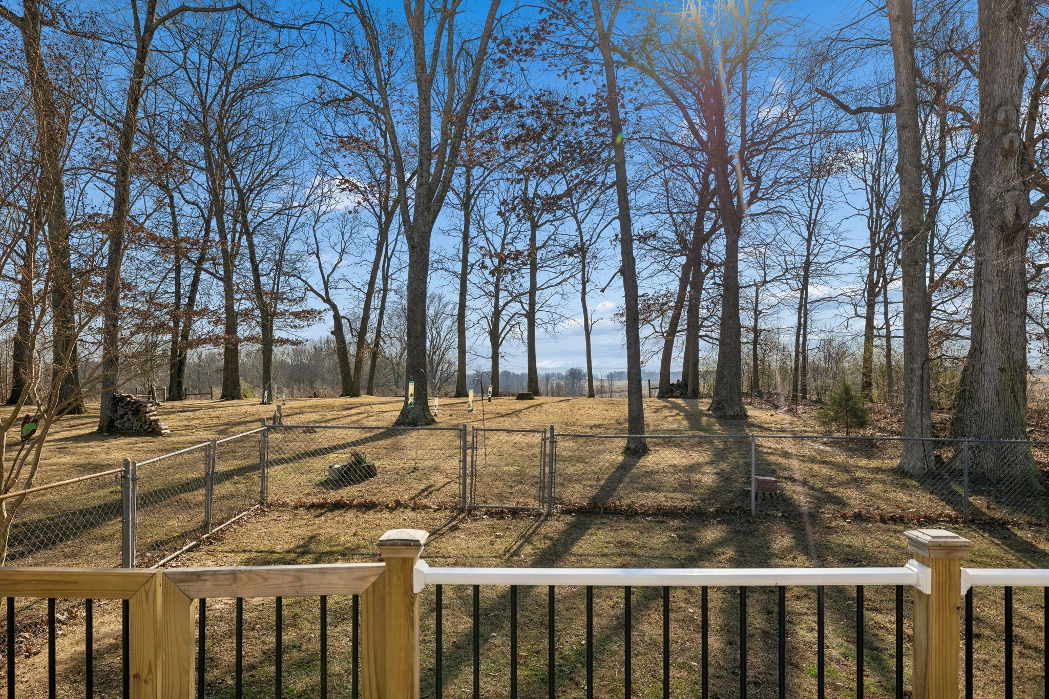 524 Willie Jarvis Road Sparta, TN 38583 - Photo 54 of 64 a view of a yard with trees