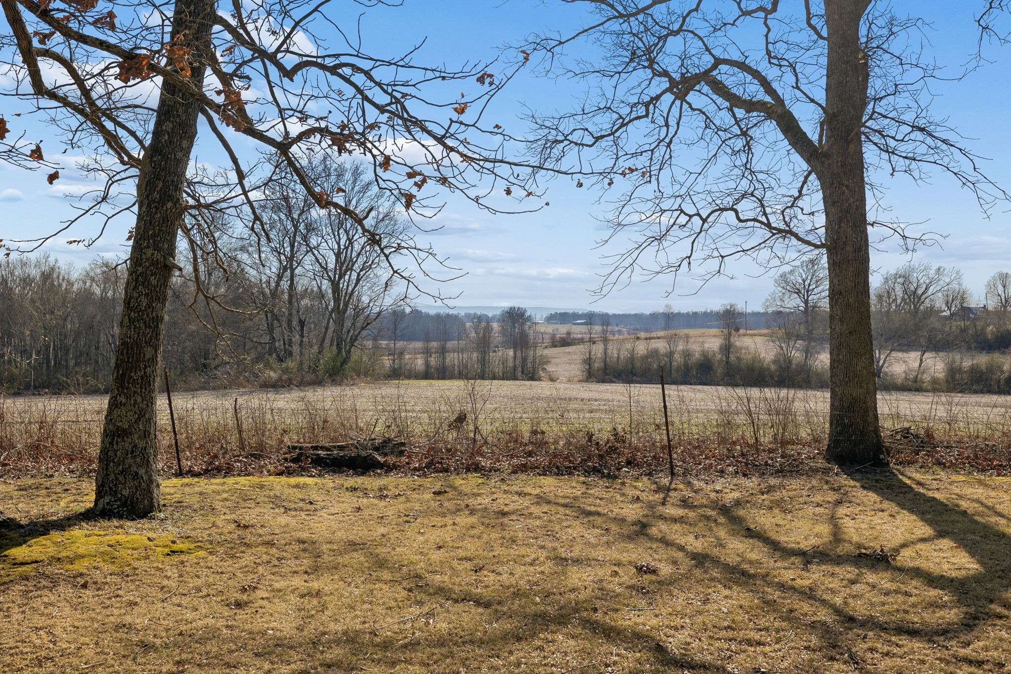 524 Willie Jarvis Road Sparta, TN 38583 - Photo 62 of 64 a backyard of a house with lots of green space